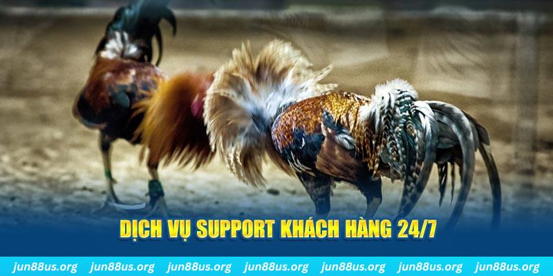 vietjack 9 ÁT CHỦ BÀI GIÀNH LẤY ZHUANG NIUNIU ( XEM 4 LÁ )