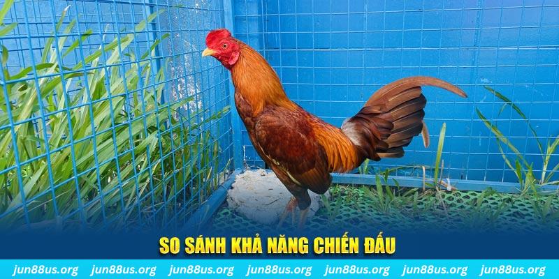 vietjack 9 CQ9 Điện Tử