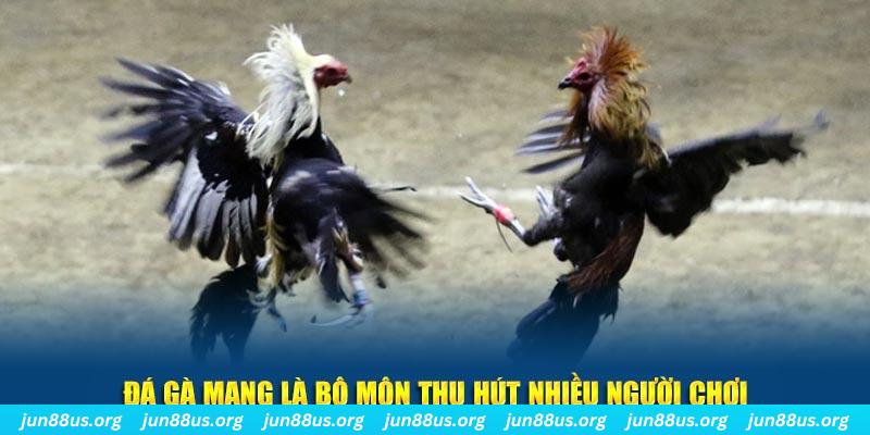 vietjack 9 bắn cá au88