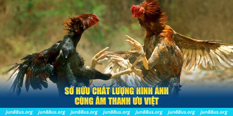 vietjack 9 PP Điện Tử