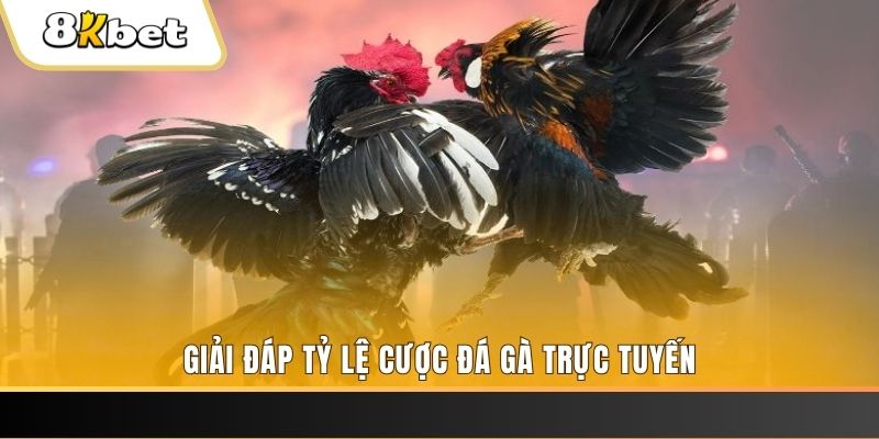 vietjack 9 xổ số đài miền trung