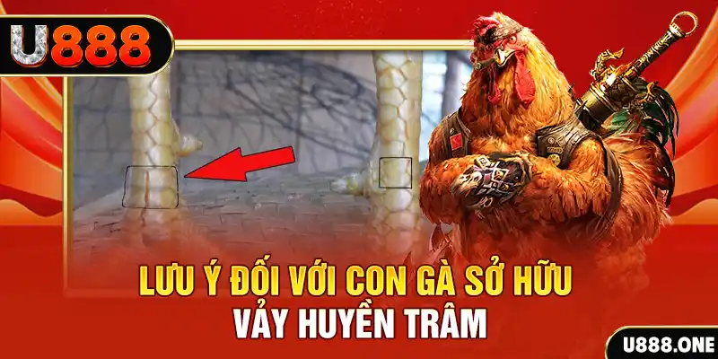 vietjack 9 kết quả xổ số miền nam hôm nay
