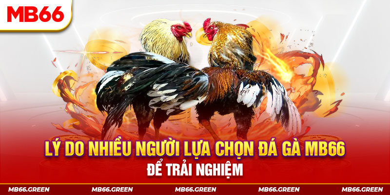 vietjack 9 xổ số miền bắc thứ bảy hàng tuần