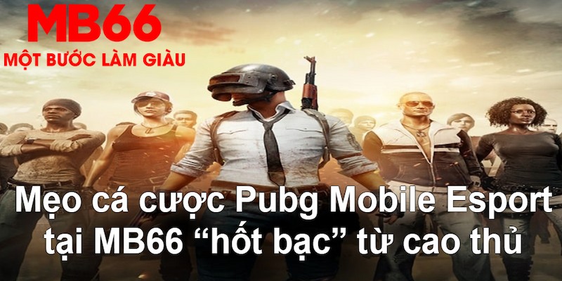 vietjack 9 VA Bắn cá