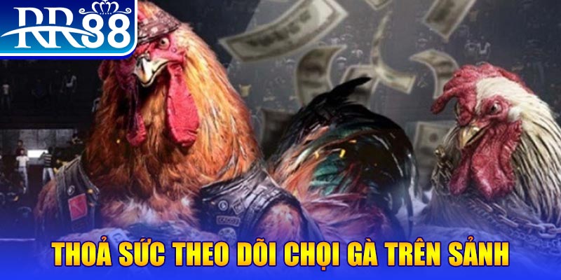 vietjack 9 Bài Poker Joker